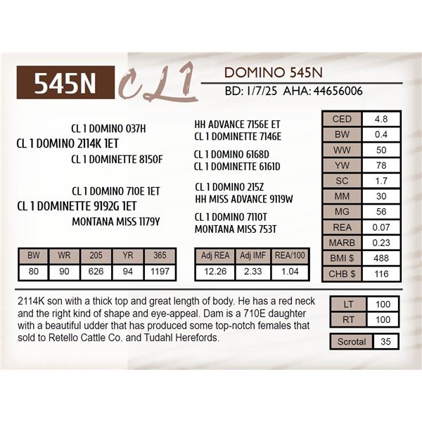 CL 1 DOMINO 545N
