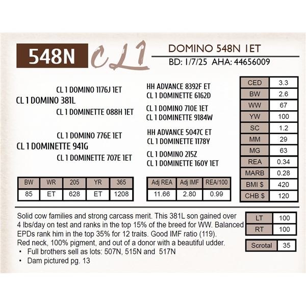 CL 1 DOMINO 548N 1ET