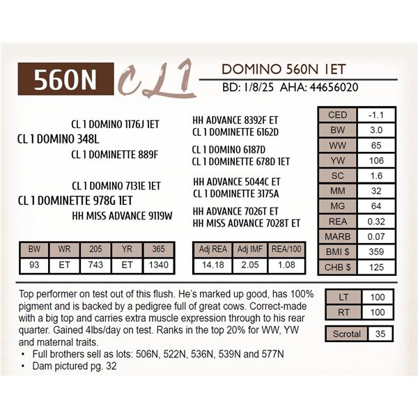 CL 1 DOMINO 560N 1ET