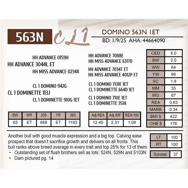 CL 1 DOMINO 563N 1ET