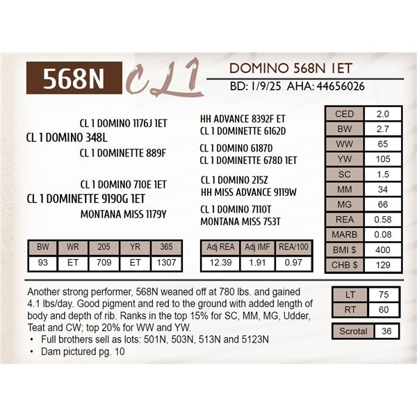 CL 1 DOMINO 568N 1ET