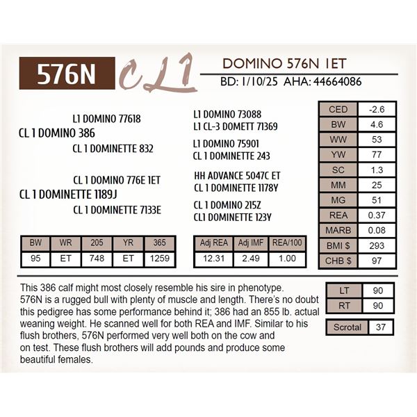 CL 1 DOMINO 576N 1ET