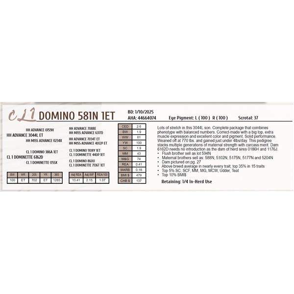 CL 1 DOMINO 581N 1ET