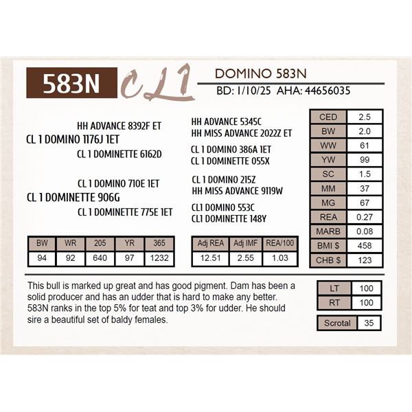 CL 1 DOMINO 583N