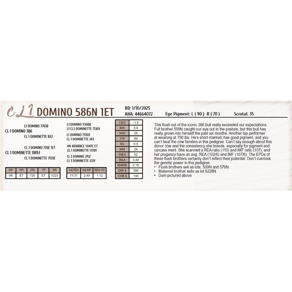 CL 1 DOMINO 586N 1ET