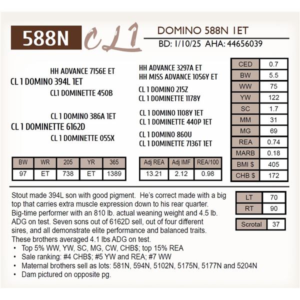 CL 1 DOMINO 588N 1ET