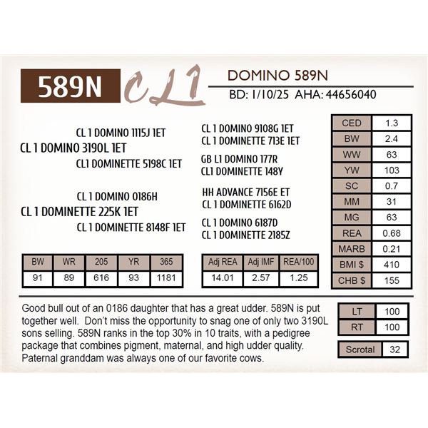 CL 1 DOMINO 589N