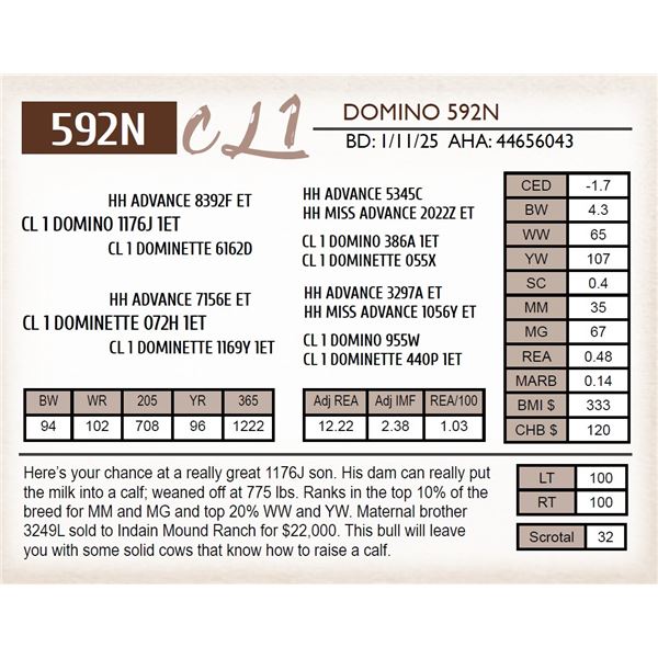 CL 1 DOMINO 592N
