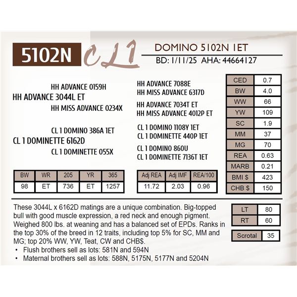 CL 1 DOMINO 5102N 1ET