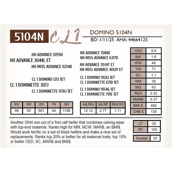 CL 1 DOMINO 5104N