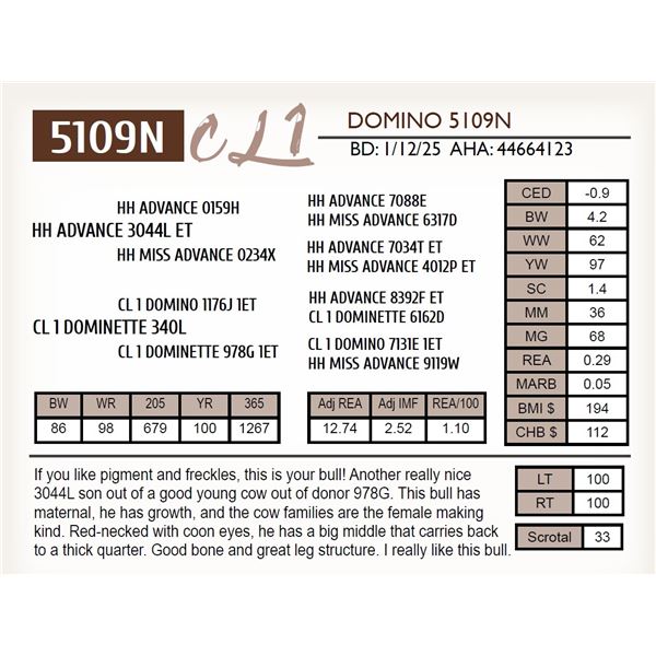 CL 1 DOMINO 5109N