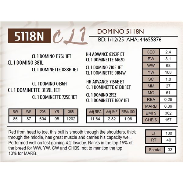 CL 1 DOMINO 5118N