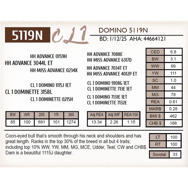 CL 1 DOMINO 5119N