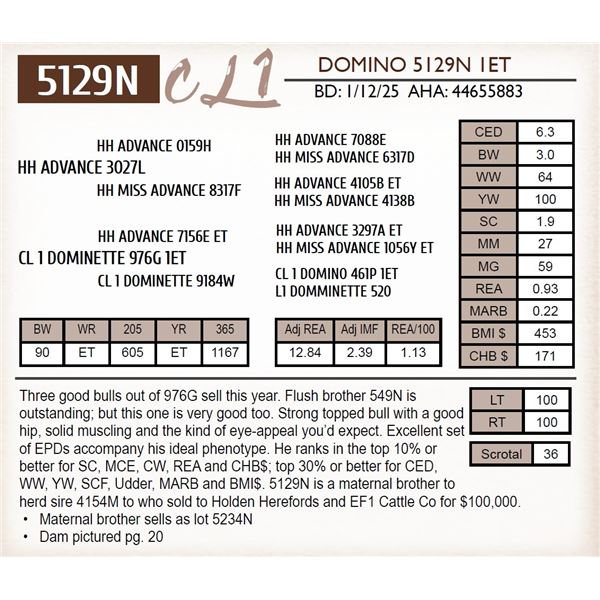CL 1 DOMINO 5129N 1ET