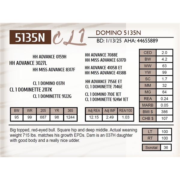 CL 1 DOMINO 5135N