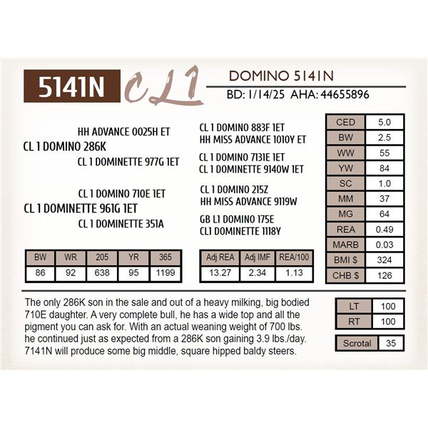 CL 1 DOMINO 5141N