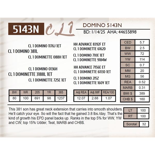 CL 1 DOMINO 5143N