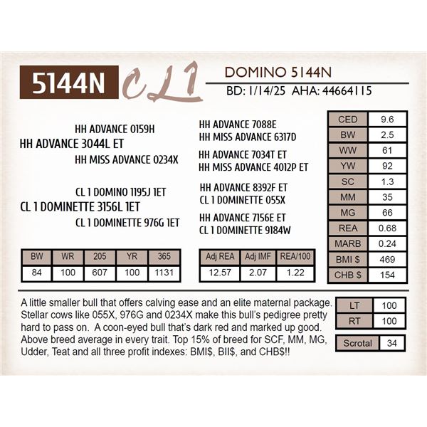 CL 1 DOMINO 5144N