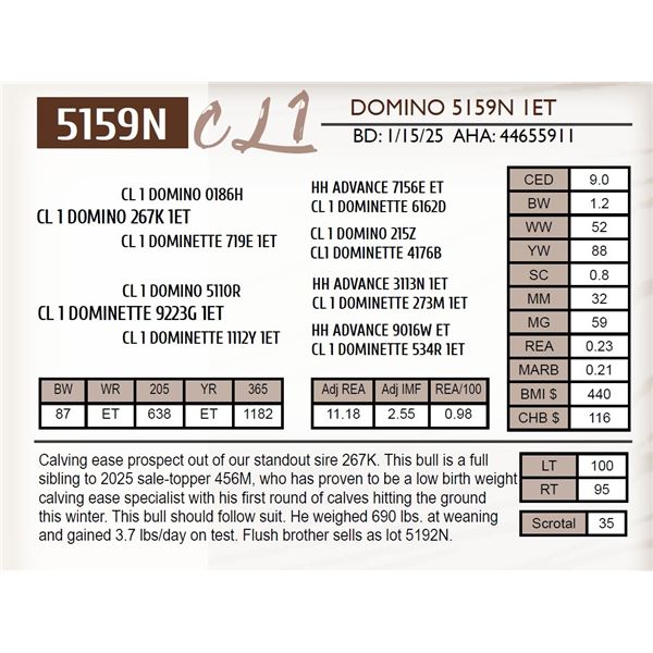 CL 1 DOMINO 5159N 1ET