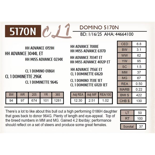 CL 1 DOMINO 5170N