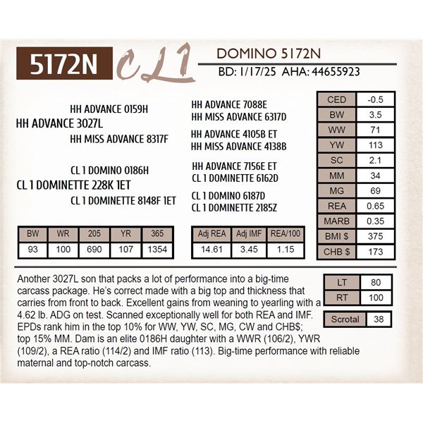 CL 1 DOMINO 5172N