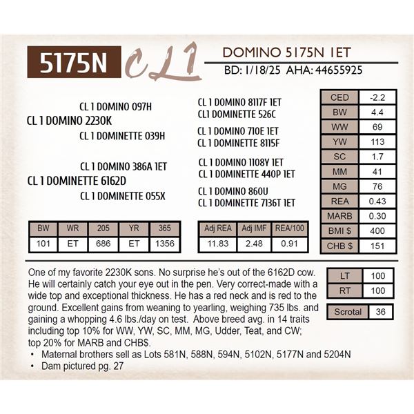 CL 1 DOMINO 5175N 1ET