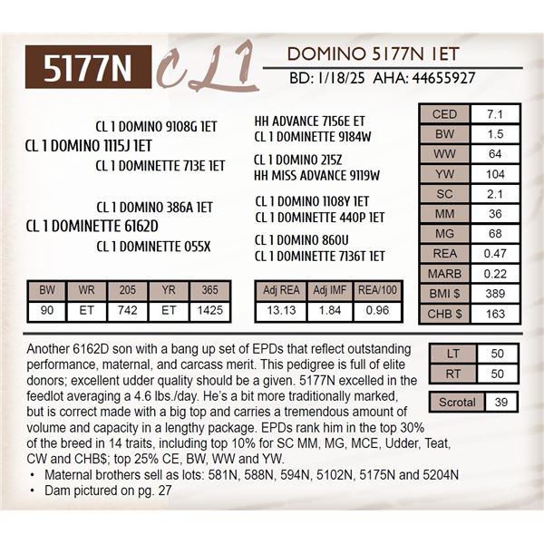 CL 1 DOMINO 5177N 1ET