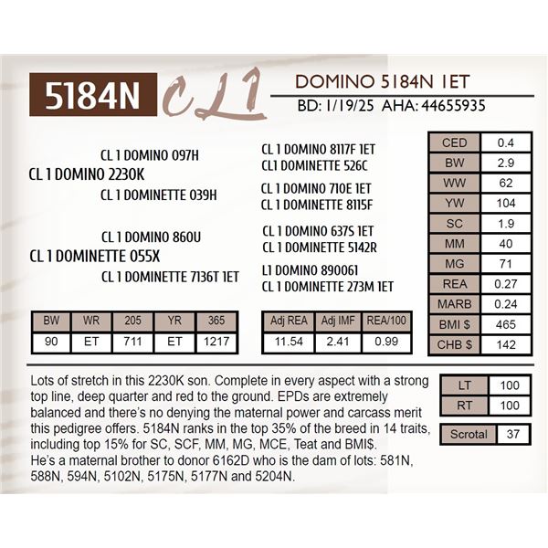 CL 1 DOMINO 5184N 1ET