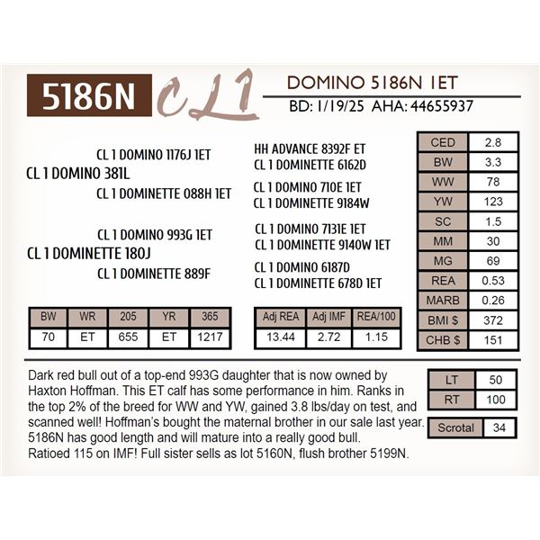 CL 1 DOMINO 5186N 1ET