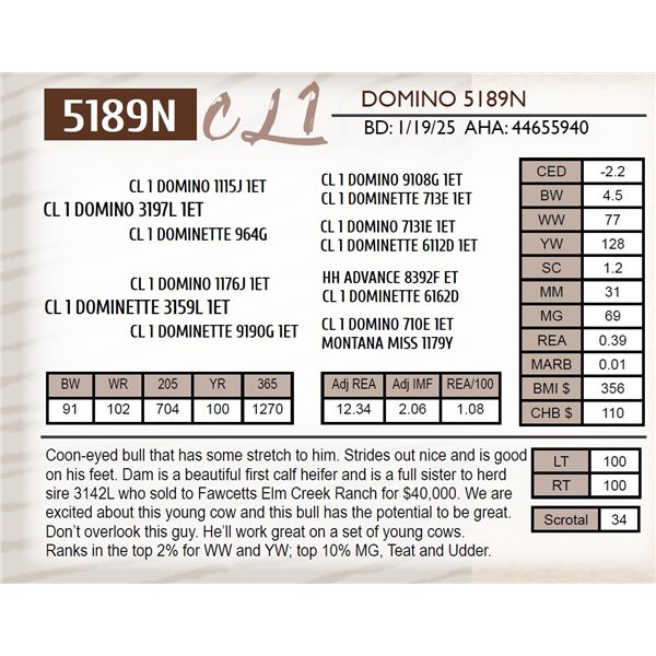 CL 1 DOMINO 5189N