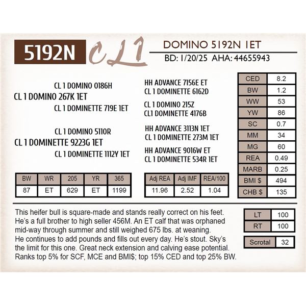 CL 1 DOMINO 5192N 1ET