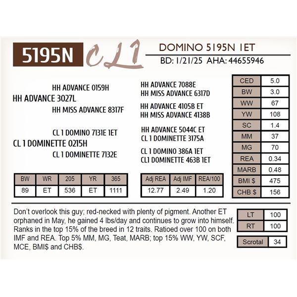 CL 1 DOMINO 5195N 1ET
