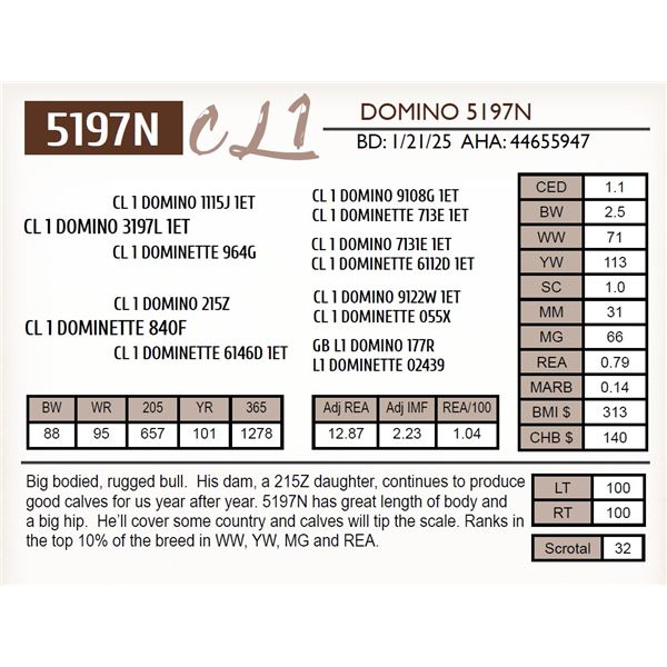 CL 1 DOMINO 5197N