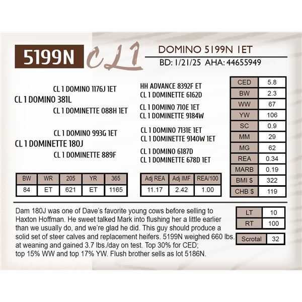 CL 1 DOMINO 5199N 1ET