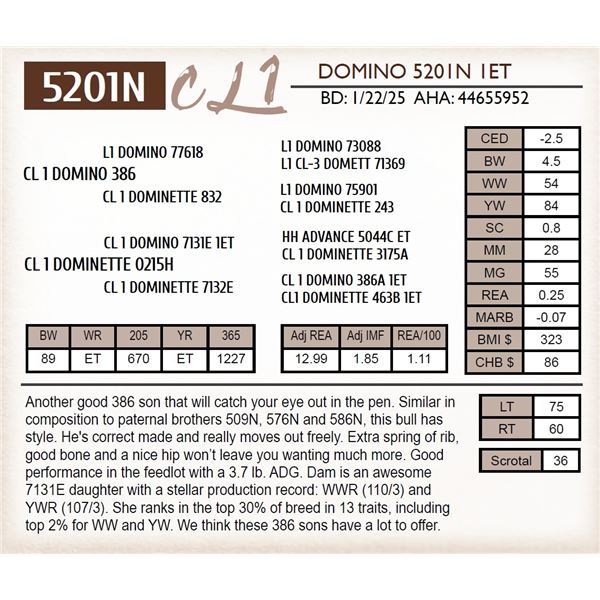 CL 1 DOMINO 5201N 1ET
