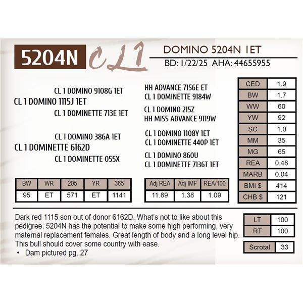 CL 1 DOMINO 5204N 1ET