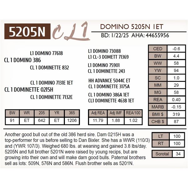 CL 1 DOMINO 5205N 1ET