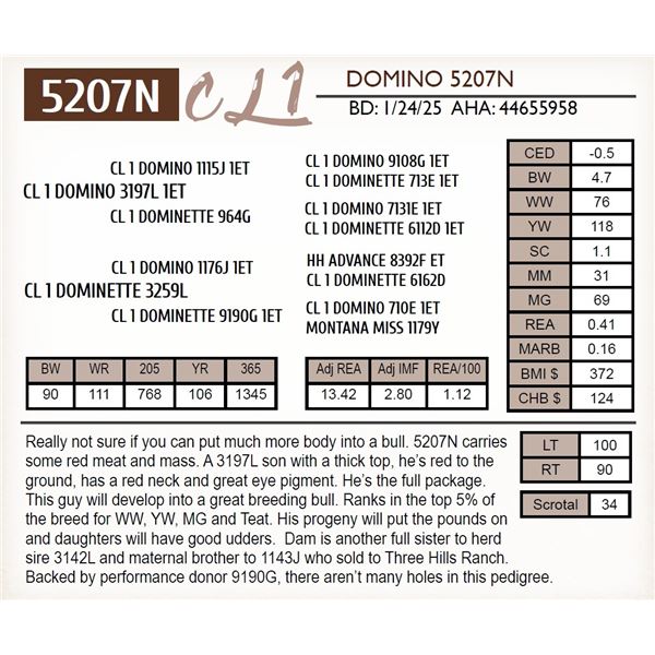CL 1 DOMINO 5207N