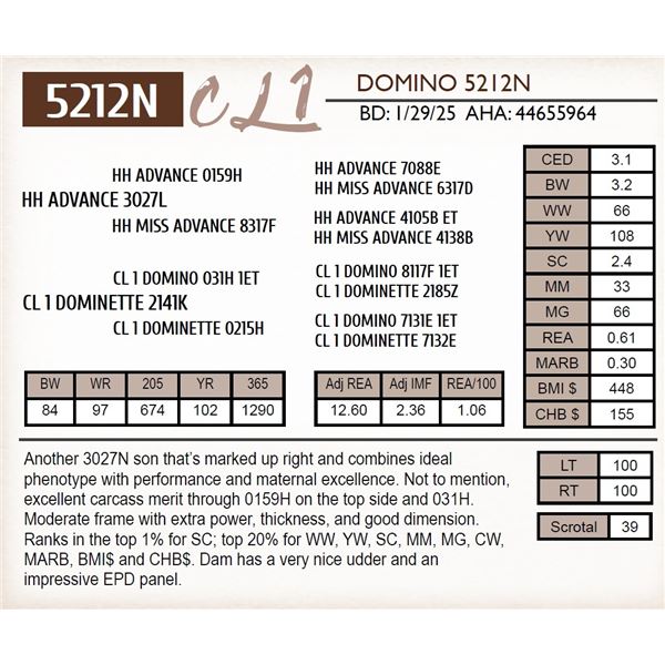 CL 1 DOMINO 5212N