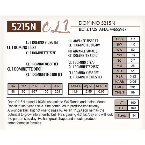 CL 1 DOMINO 5215N