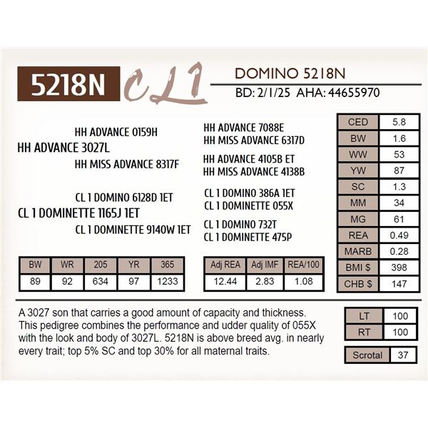 CL 1 DOMINO 5218N