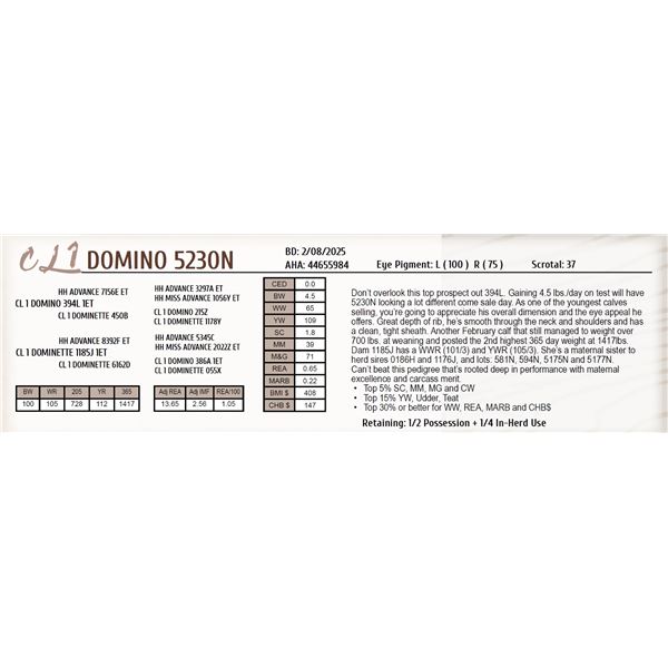 CL 1 DOMINO 5230N