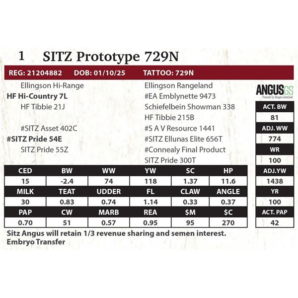 SITZ Hi-Country 729N