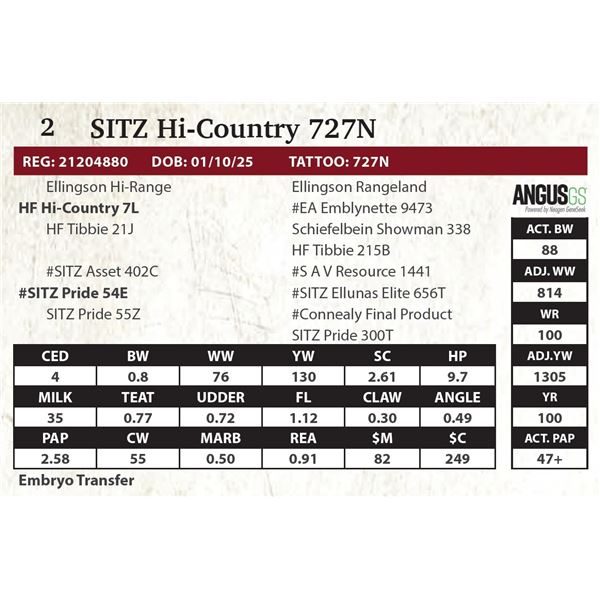 SITZ Hi-Country 727N