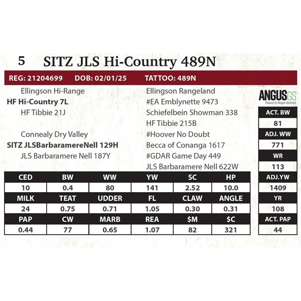 SITZ JLS Hi-Country 489N