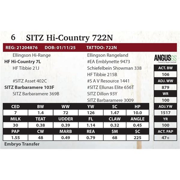 SITZ Hi-Country 722N