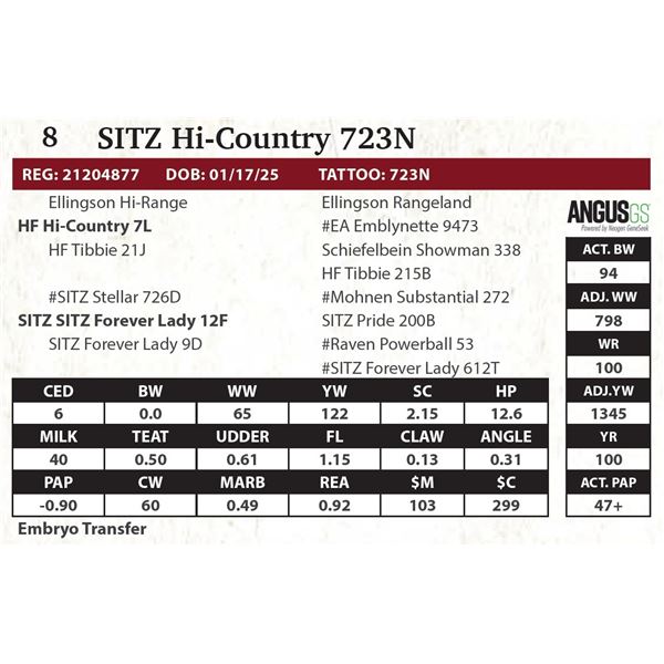 SITZ Hi-Country 723N
