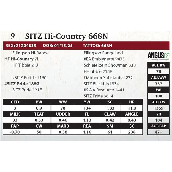 SITZ Hi-Country 668N