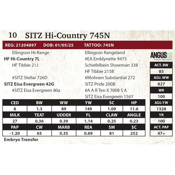 SITZ Hi-Country 745N