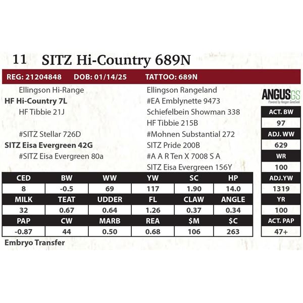 SITZ Hi-Country 689N